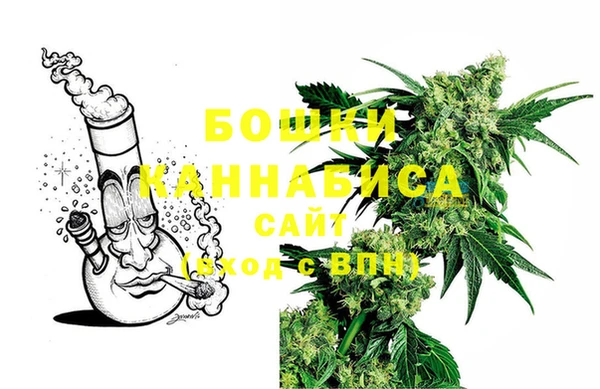 Альфа ПВП Аркадак