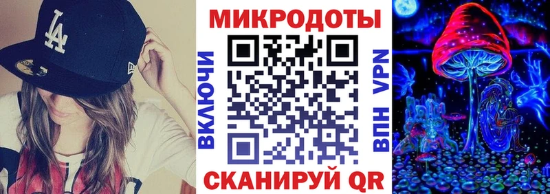 Купить  Благодарный  Галлюциногенные грибы Psilocybe 